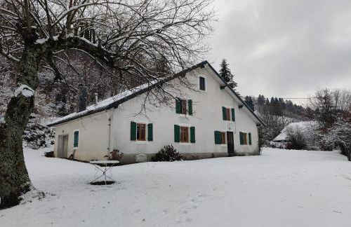 Chalet Meuselotte, à Bussang dans les Vosges - Foto 16