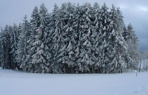 Appartement Bergwaerts - Foto 25