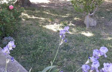 GITE EN PROVENCE - Photo 14