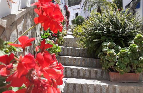 Casa de las Flores - a picture perfect location! - Foto 5