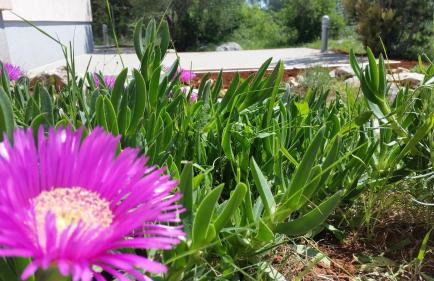 Olive Apartments - Photo 65