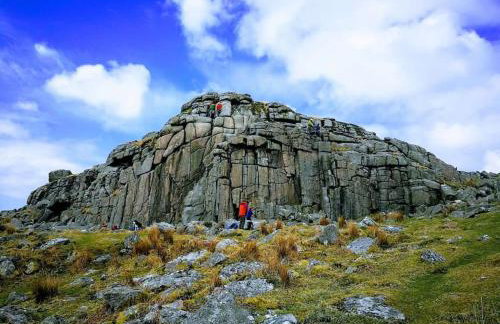 Finlodge- Pet-Friendly Scandinavian Cabin - Photo 69