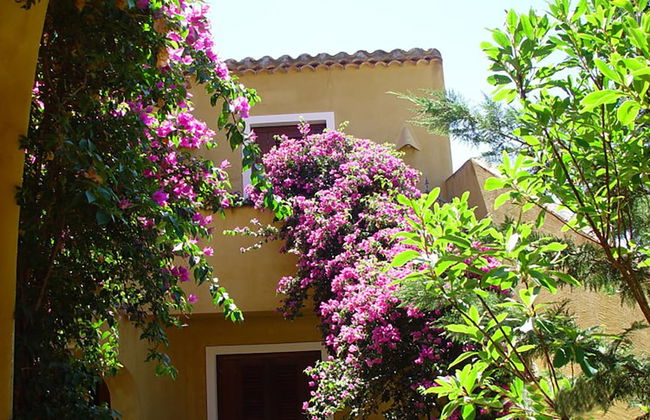 Apartment With Sea View Terrace - Photo 11