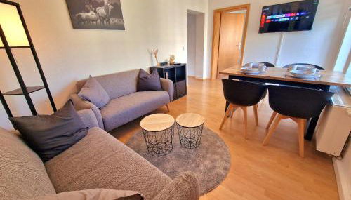 FEWO "Anne" Großzügige Wohnung im Zentrum von Chemnitz - Foto 2