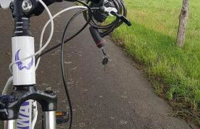 Sonnenschein am Rursee - Foto 36