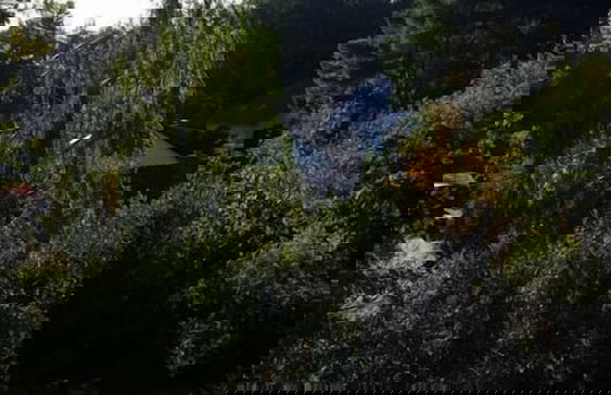 Ferienwohnungen Panoramablick - Foto 22