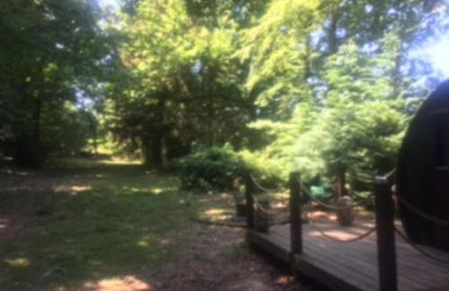 Unique & serene 1-Bed Cabin close to Domfront - Foto 11