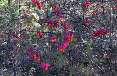 Agriturismo Cailuca - Foto 107