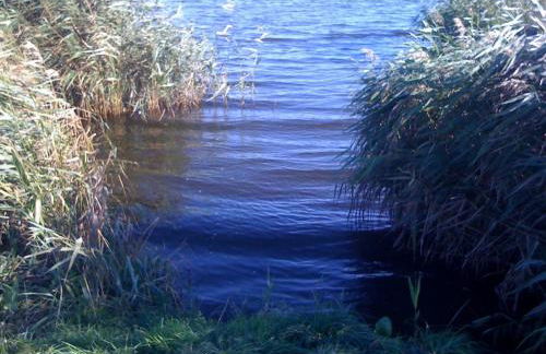 Peeneurlaub - Foto 59