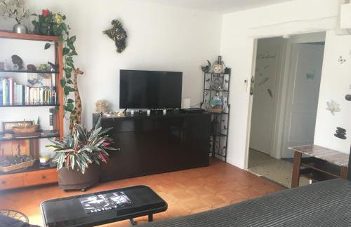 JARDIN DE CAMPAGNE - Foto 15