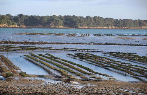 Le Gîte de l'Amer - T2 - Duplex - Centre Bourg - Photo 31