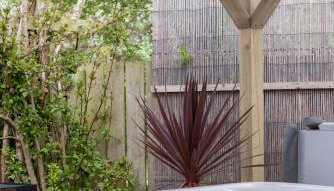 The Studio Castlerock with Hot Tub - Foto 4