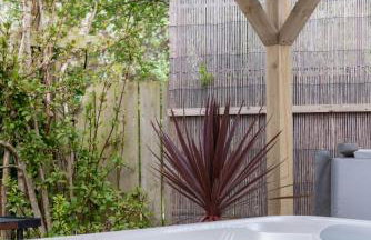 The Studio Castlerock with Hot Tub - Foto 4