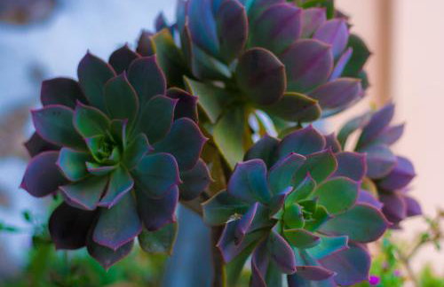 Casa rural Bejeque - Foto 55