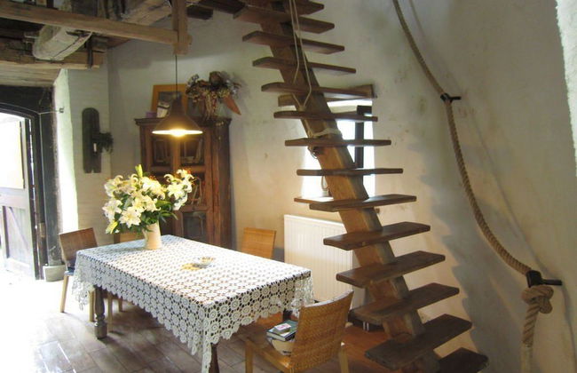 De Reus van Horebeke - Photo 12