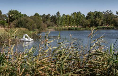 Casas da Horta - Photo 30