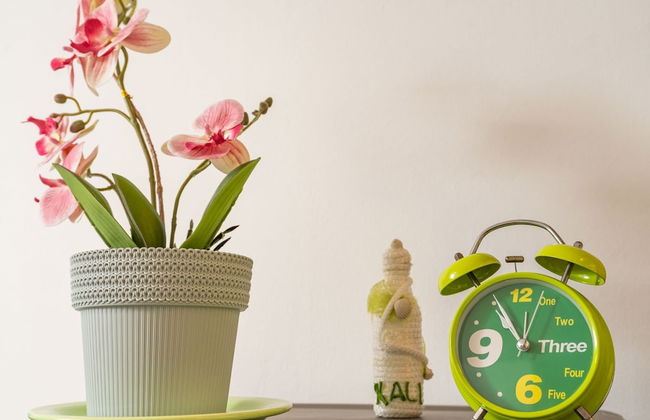 Apartment Lolo - Foto 43