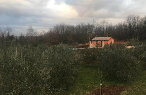 House in Nature - Foto 82