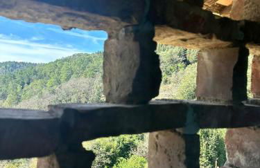 Agriturismo Tassinaia - Foto 47