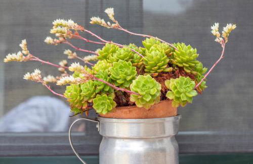 La Umbría de la Ribera - Foto 29