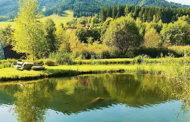 Chalet in Gaal by Ski Slopes & Bathing Pond - Foto 22