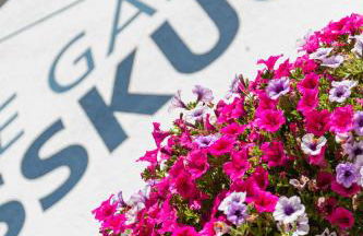 Residence Weisskugel Langtaufers Südtirol - Foto 8