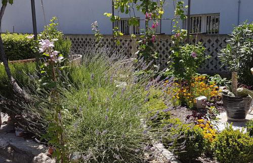 Apartments Mali Raj - Photo 13