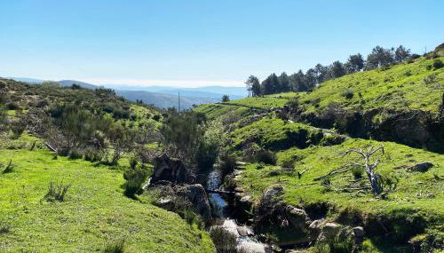 Casa da Risca - Foto 3