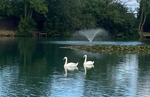 Malton 2-Bed Lodge Sleeps 4 Pet Friendly - Foto 43