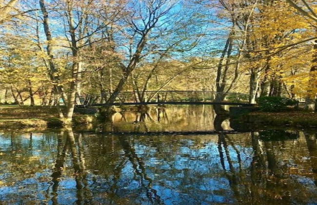 Enticing Holiday Home in Viroinval near Forest - Foto 39