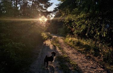 Dom wakacyjny - Foto 11