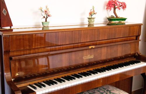 Apartment Patrizia by Interhome - Foto 20