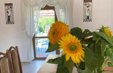 Agroturystyka Jeroniczówka - Foto 4