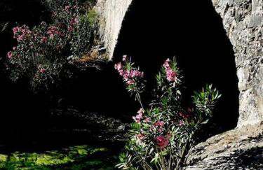 Orne Magical Retreat - Foto 33