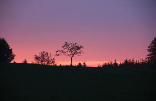 Ferienbauernhof-Holops - Foto 12