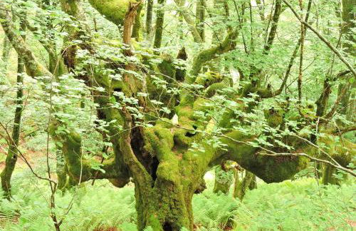 Casa Gloria - Foto 31