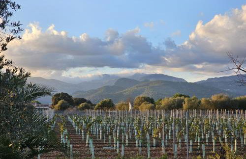 Finca La Preciosa - Photo 61