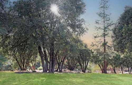 Yosemite Villa - log cabin with spectacular views & stargazing - Foto 62