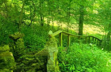 Echo Valley Outdoor Oasis Campsite - Foto 27