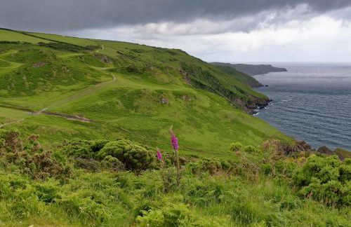 1 Bed in Ilfracombe oc-91651 - Foto 24