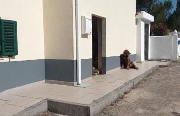 Quinta Do Centro - Foto 16