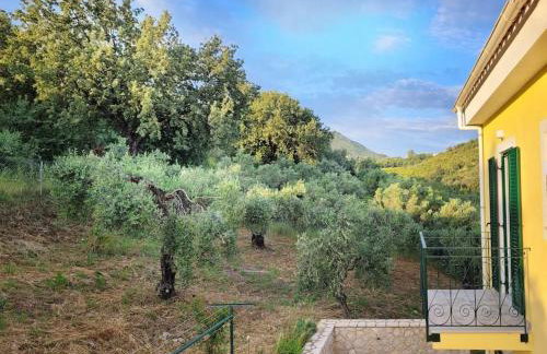 Gelbes Haus Korfu - Foto 17