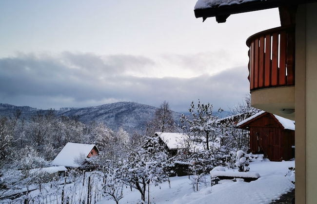 Vineyard cottage Na hribu - Photo 25