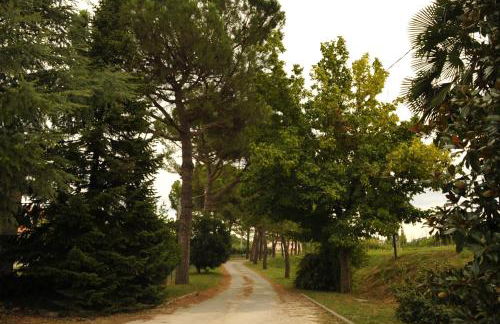 Caterina Residence - Foto 36