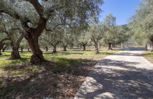 manousi 2 - First floor - Foto 15