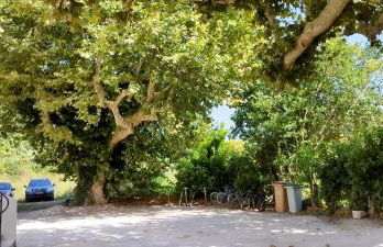 Mas en Provence - Photo 46