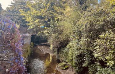 2 Bedrooms overlooking Little Petherick Creek - Foto 14