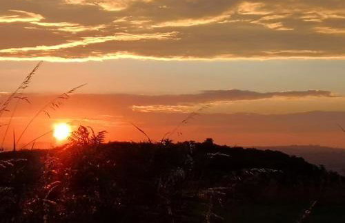 Converted cattle barn overlooking Strangford Lough - Foto 28