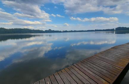 Domek Nad Stawem Bory Tucholskie - Foto 30
