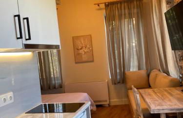 Artemis all seasons - Photo 14